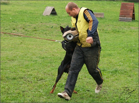 Training in Prague 10/2007